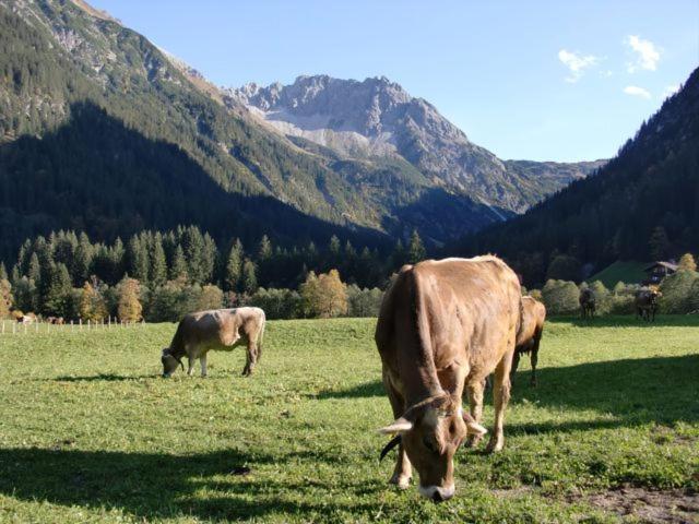 Walliser Stube Aparthotel Mittelberg Exteriör bild