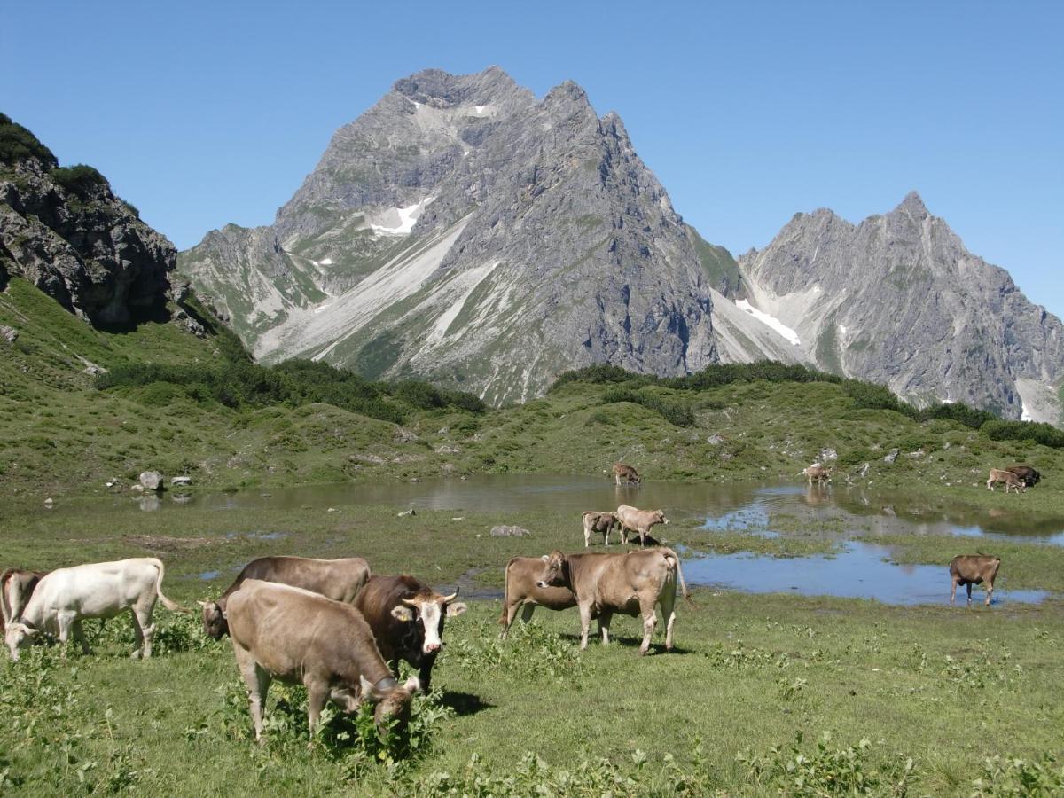 Walliser Stube Aparthotel Mittelberg Exteriör bild